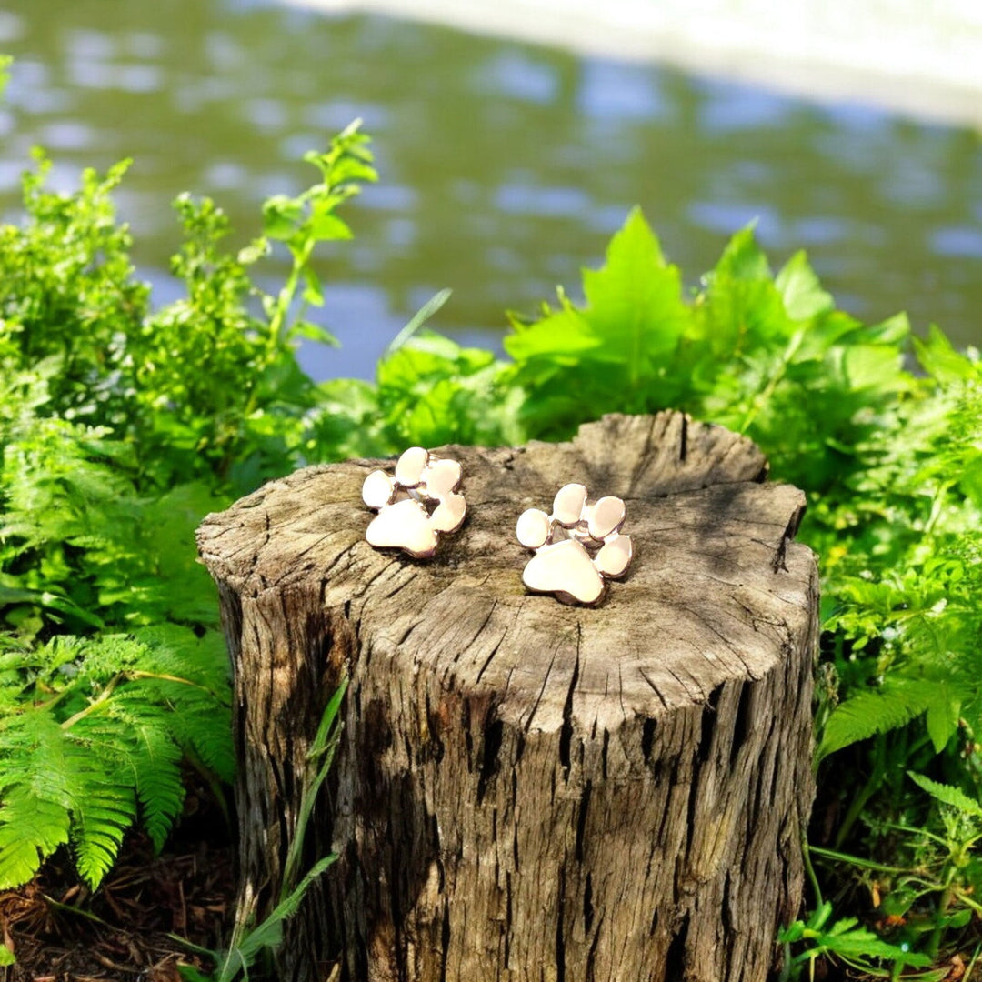 Pawfect - Elegant Hypoallergenic Earrings