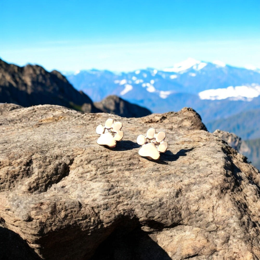 Pawfect - Elegant Hypoallergenic Earrings